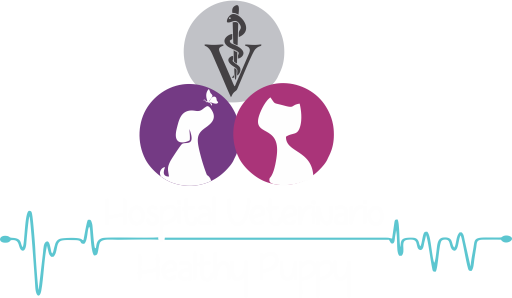 Hospital Healthy Puppy